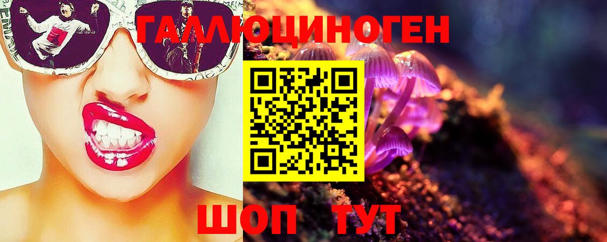 Старая Русса  Псилоцибиновые грибы мухоморы  Вход с VPN 