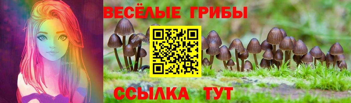 Псилоцибиновые грибы Psilocybine cubensis Старая Русса